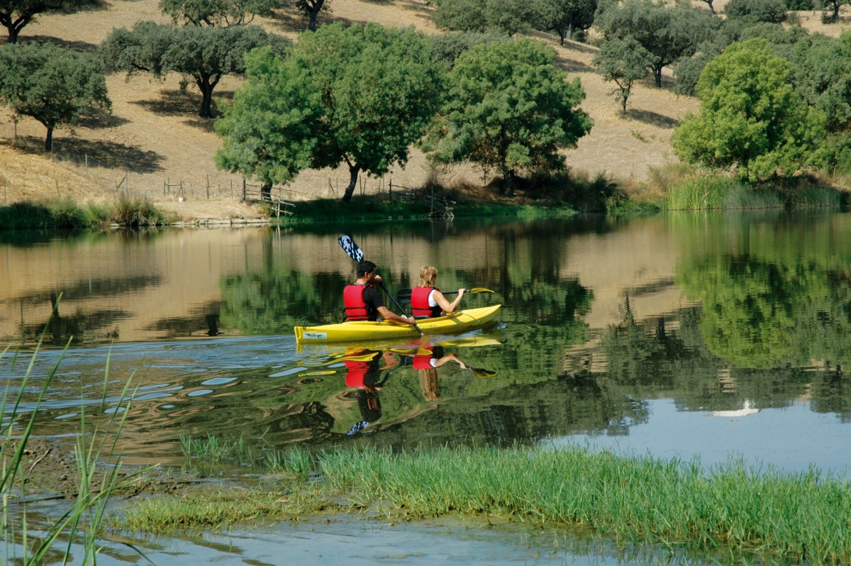 slide-image