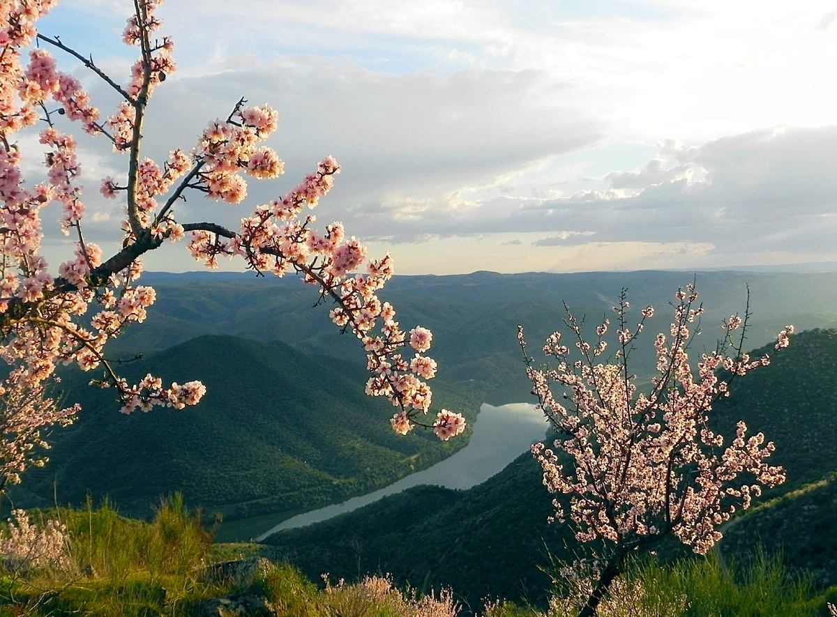 slide-image